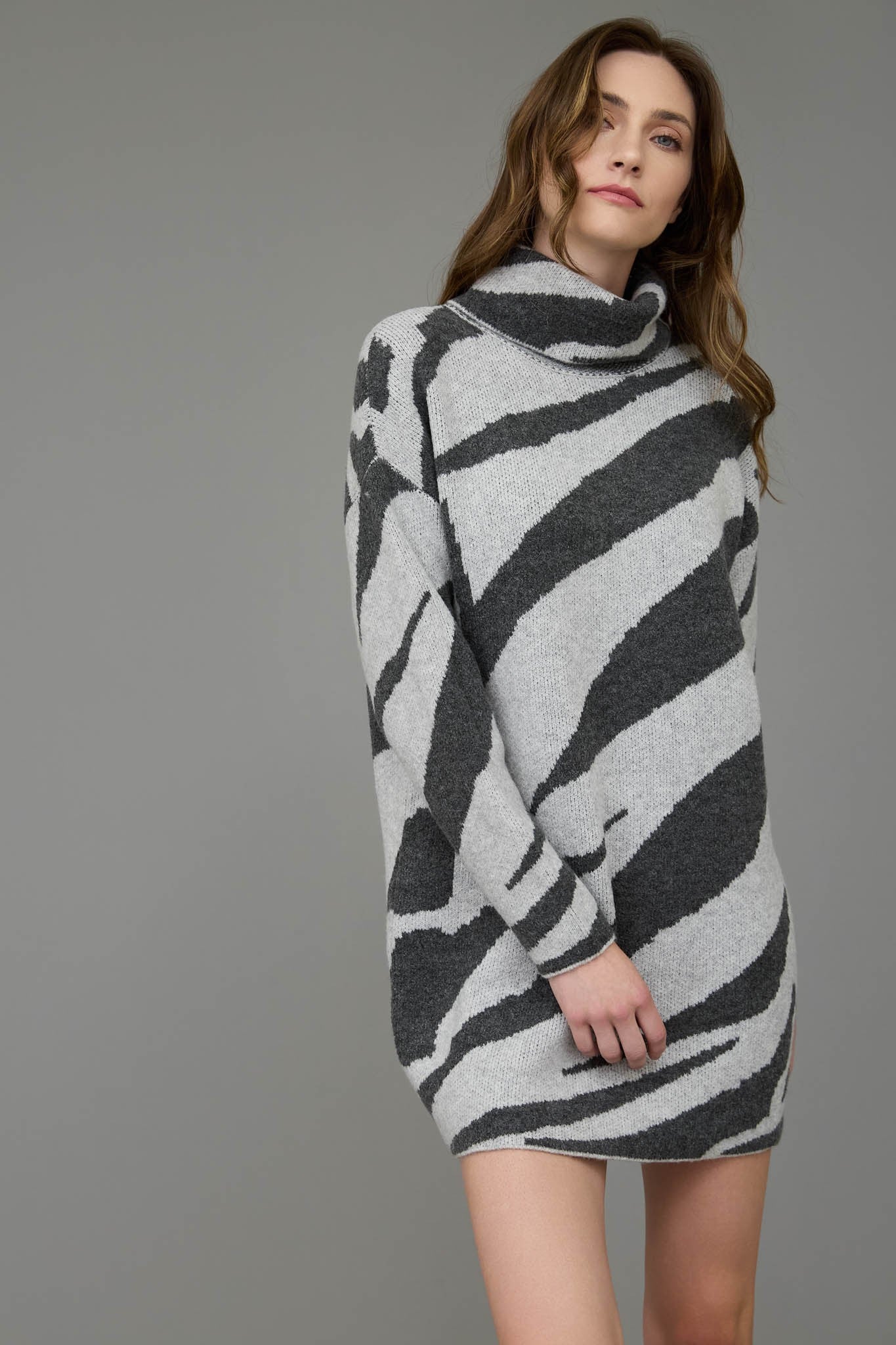 Zebra Turtleneck Sweater Dress (REG)