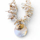 White Coral and Shell Necklace