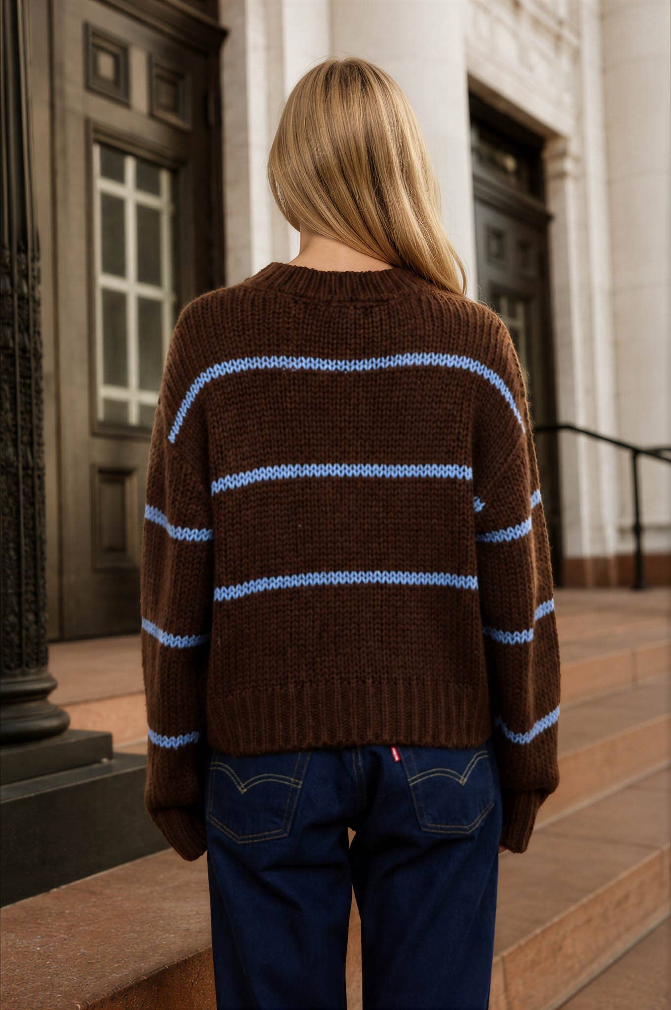 Brown & Blue Striped Cardigan (REG)
