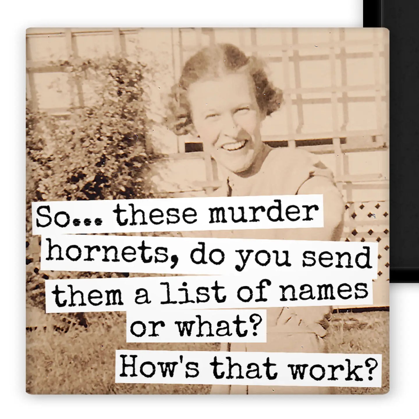 Murder Hornet Magnet