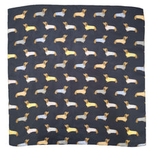 Dachshund Sweater Fashion Scarf