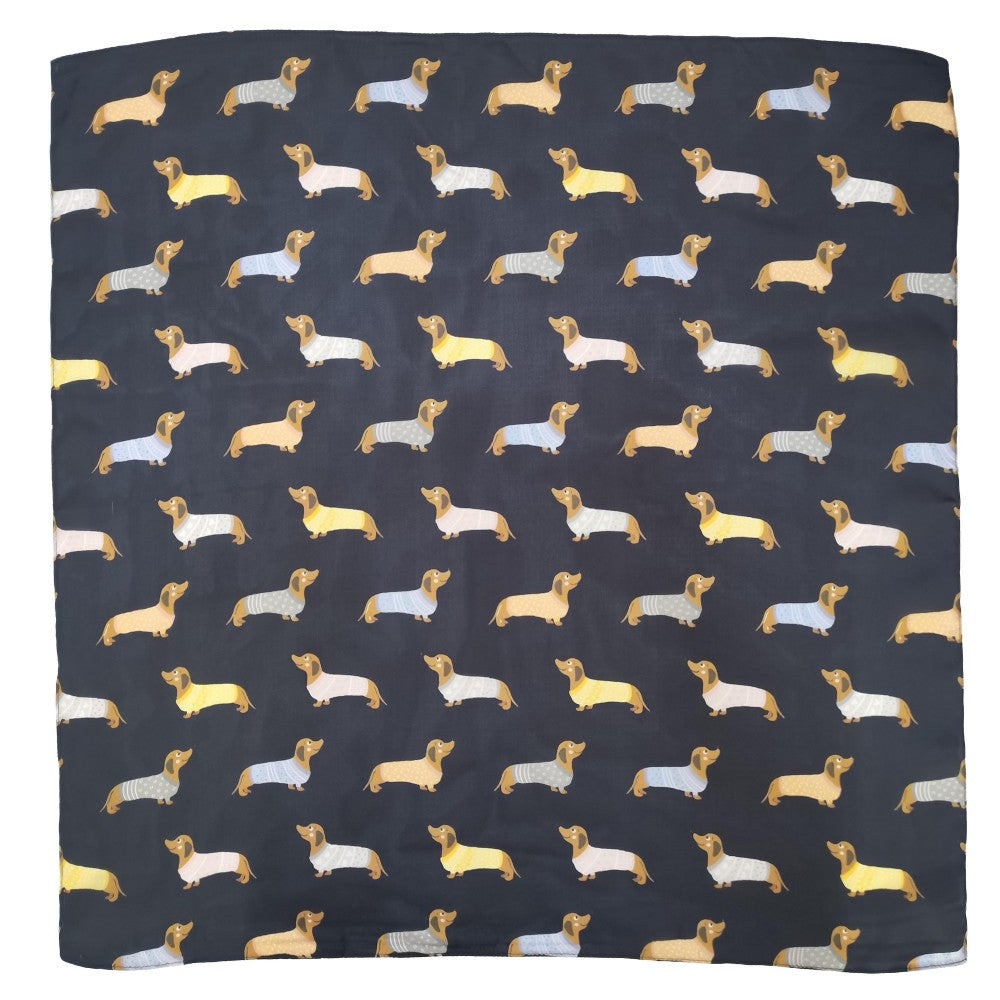 Dachshund Sweater Fashion Scarf