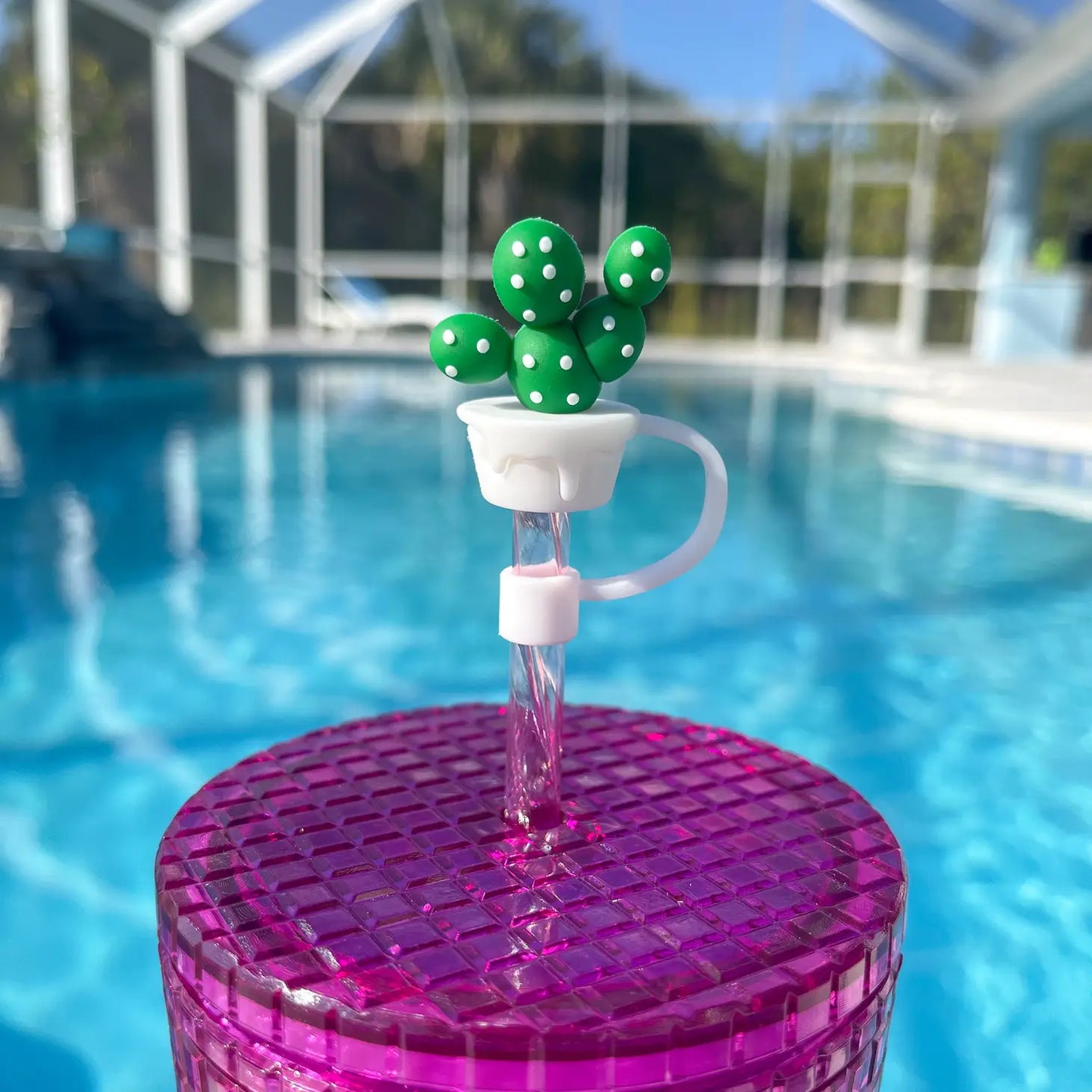 Standard Straw Toppers