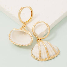 Gold Accent Shell Earrings