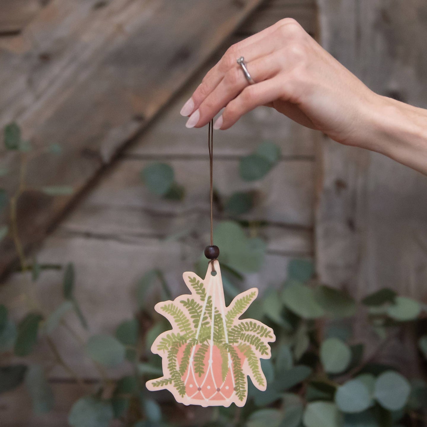 Hanging Fern Air Freshener
