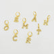 Initial Treasure Charms