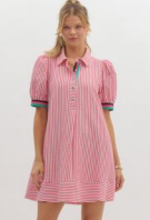 Evermore Striped Collar Dress in Pink (REG)