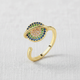 Planetary Spinner Ring