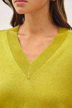 Astrid V-Neck Sweater in Mustard (REG)