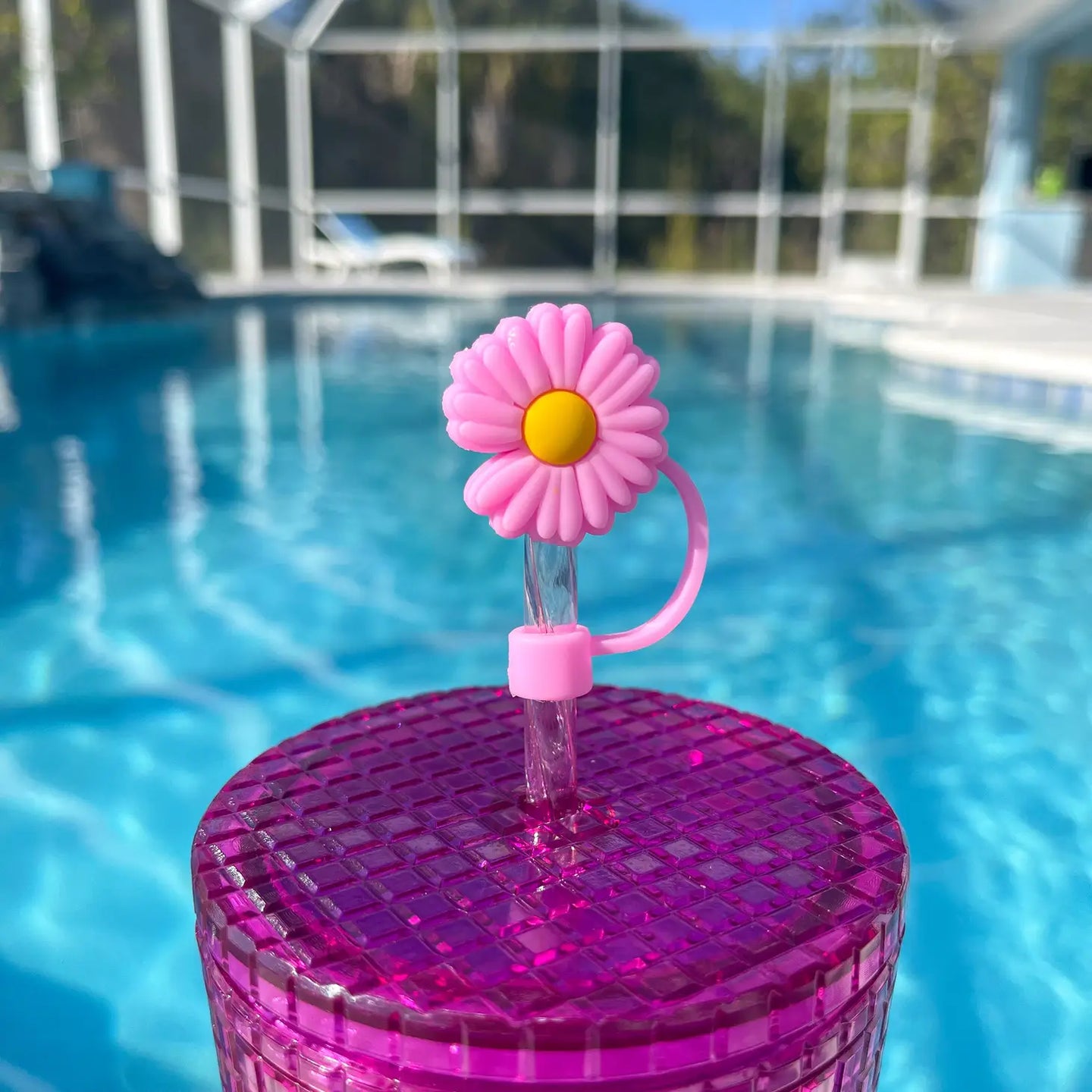 Standard Straw Toppers