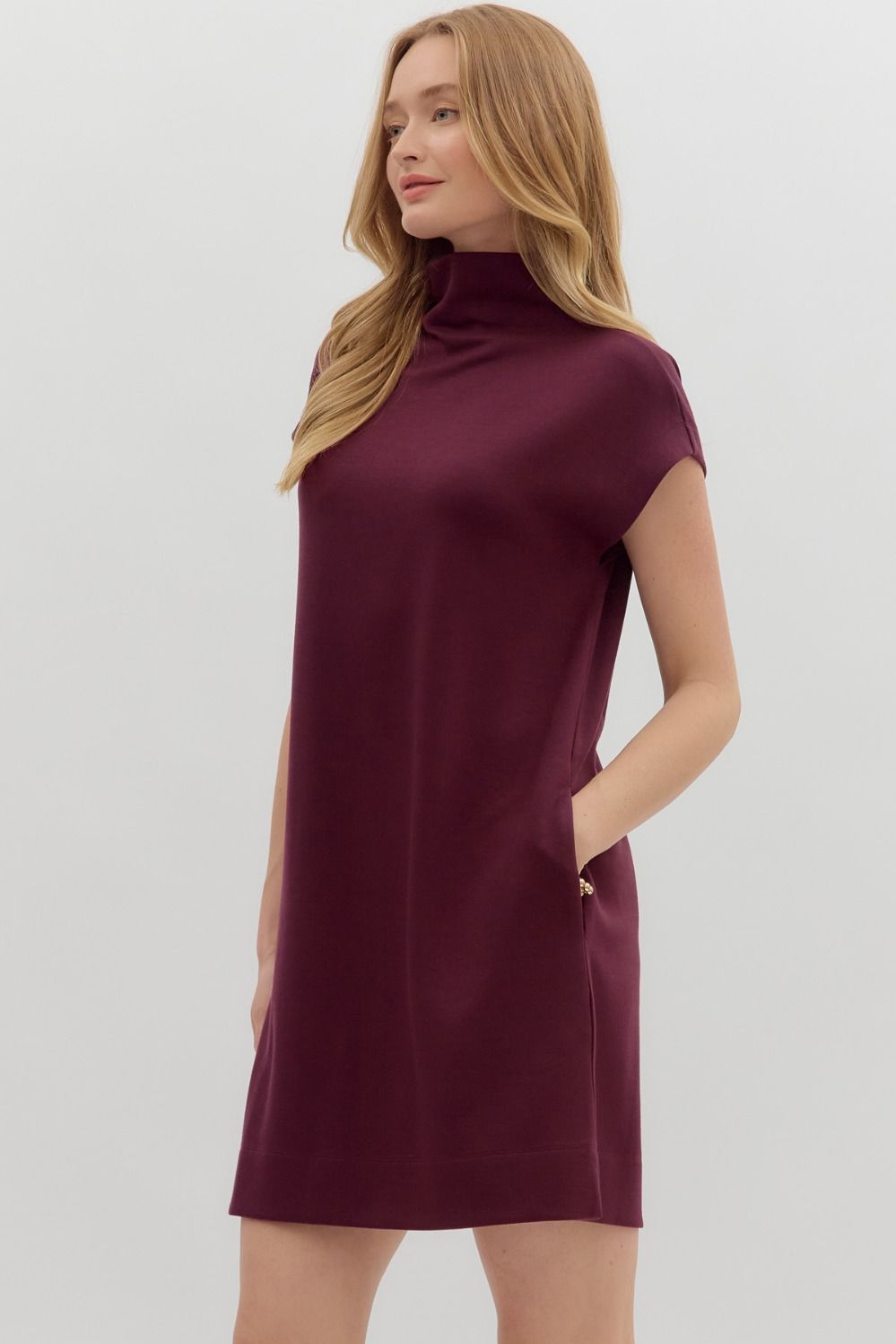 Mock Neck Mini Dress in Wine (REG)