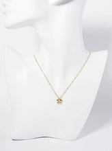18K Dipped CZ Star Necklace