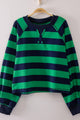 Casual V Stitch Striped Top in Green (REG)